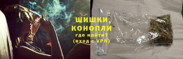 индика Богданович