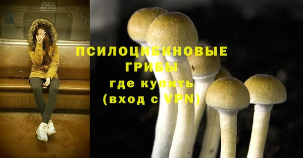 MDMA Premium VHQ Богородицк