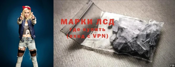 индика Богданович