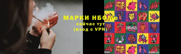 индика Богданович