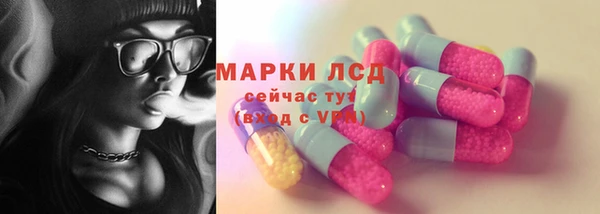 индика Богданович