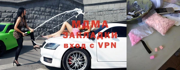 индика Богданович