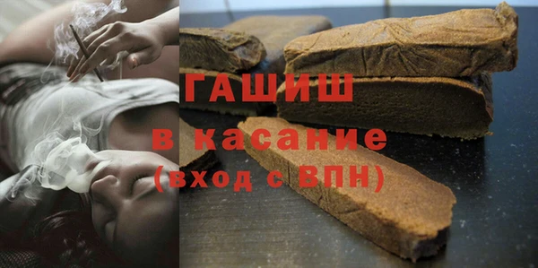 индика Богданович