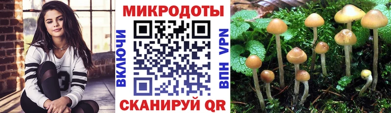 Псилоцибиновые грибы ЛСД  Купить где  Чёрмоз 